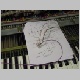PANEL_BA_PRA - 001 - The cable for tonight.JPG